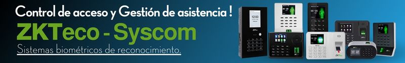 phishing